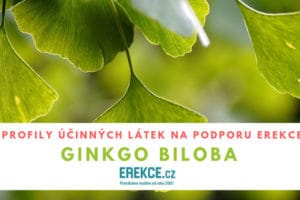 ginkgo biloba a erekce