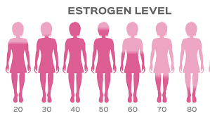 hladina estrogenu u žen vzhledem k věku