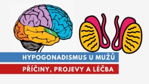 hypogonadismus u mužů