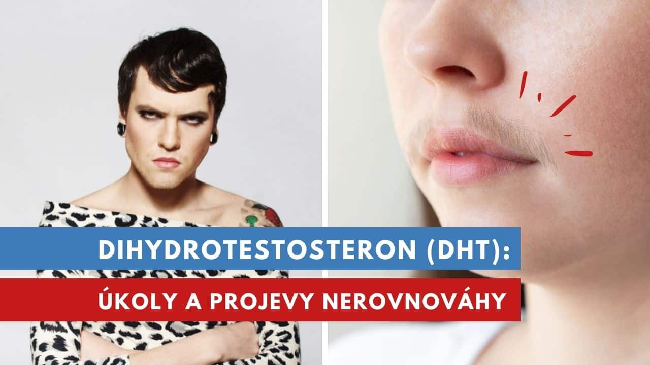 Dihydrotestosteron DHT: Androgen celoživotního významu | Erekce.cz