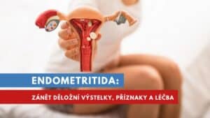 endometritida