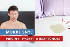 mokré sny